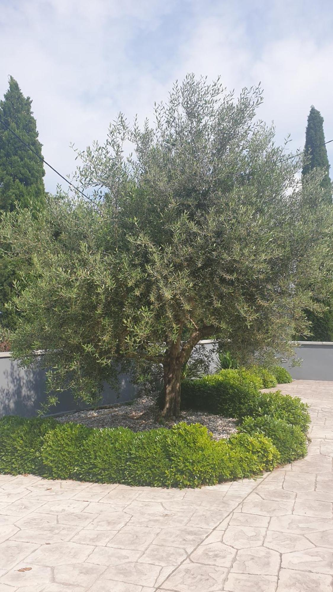 Apartma Pata, Koper - Cezarji Dış mekan fotoğraf